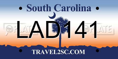 LAD141 South Carolina License Plate