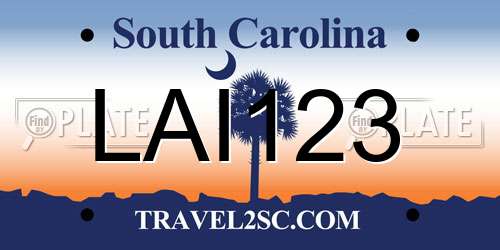 LAI123 South Carolina License Plate