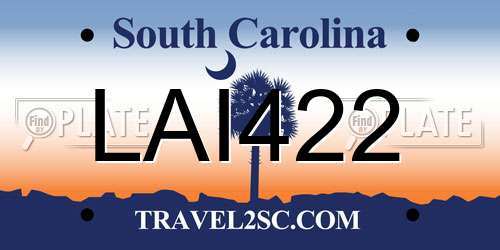 LAI422 South Carolina License Plate