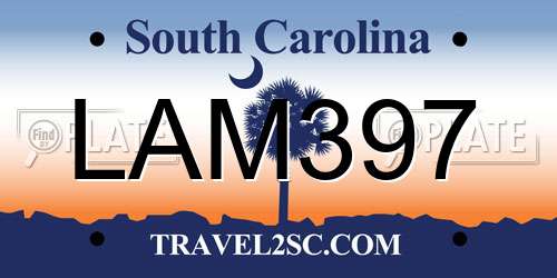 LAM397 South Carolina License Plate
