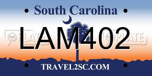 LAM402 South Carolina License Plate