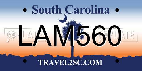 LAM560 South Carolina License Plate