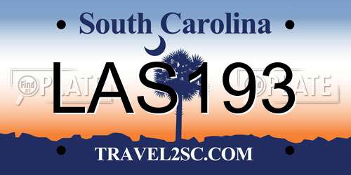 LAS193 South Carolina License Plate