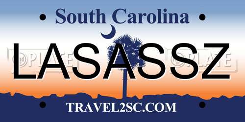 LASASSZ South Carolina License Plate