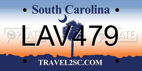 LAV479 South Carolina License Plate