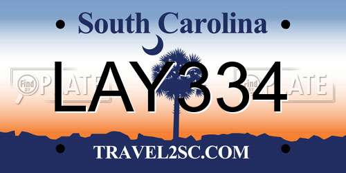 LAY334 South Carolina License Plate