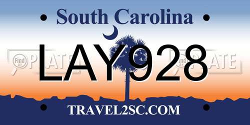 LAY928 South Carolina License Plate
