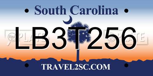 LB3T256 South Carolina License Plate