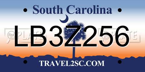 LB3Z256 South Carolina License Plate