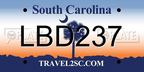 LBD237 South Carolina License Plate