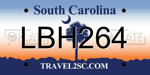 LBH264 South Carolina License Plate