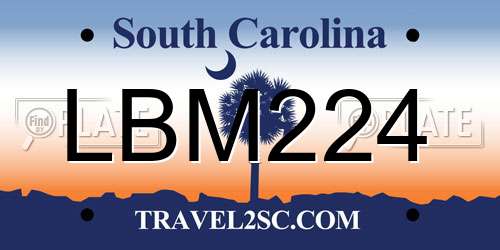 LBM224 South Carolina License Plate