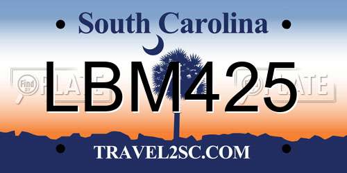 LBM425 South Carolina License Plate