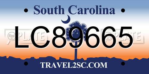 LC89665 South Carolina License Plate