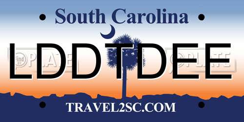 LDDTDEE South Carolina License Plate