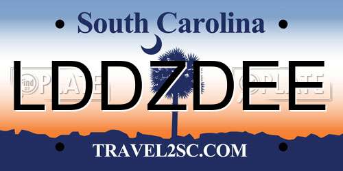 LDDZDEE South Carolina License Plate