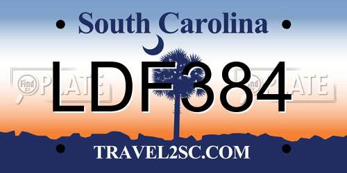 LDF384 South Carolina License Plate