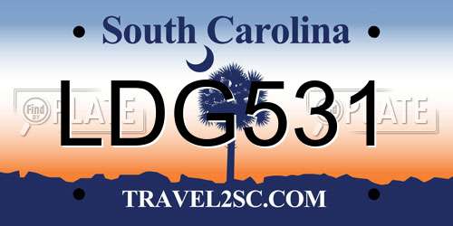 LDG531 South Carolina License Plate