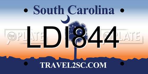 LDI844 South Carolina License Plate
