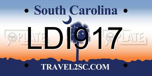 LDI917 South Carolina License Plate
