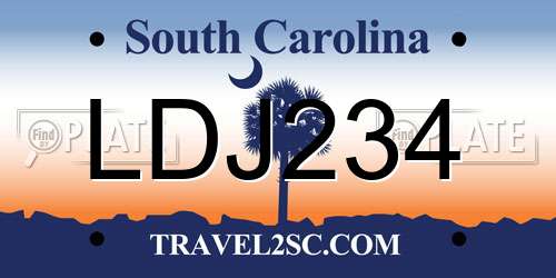 LDJ234 South Carolina License Plate