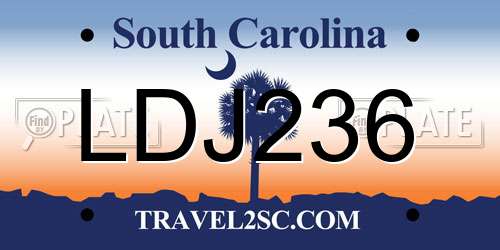 LDJ236 South Carolina License Plate