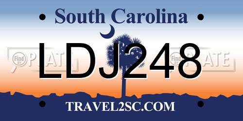 LDJ248 South Carolina License Plate