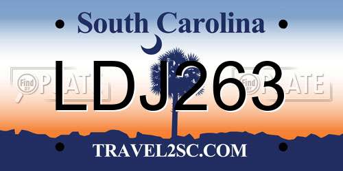 LDJ263 South Carolina License Plate