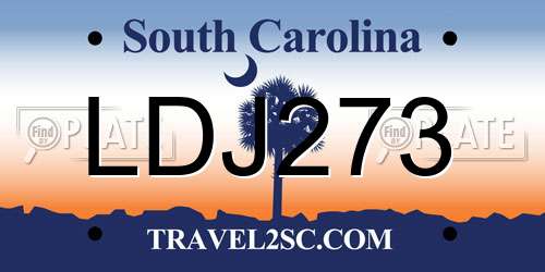 LDJ273 South Carolina License Plate