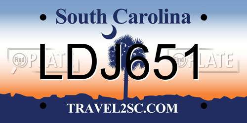 LDJ651 South Carolina License Plate