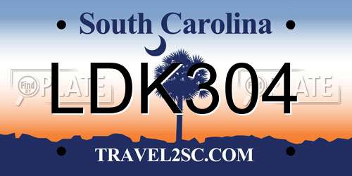 LDK304 South Carolina License Plate