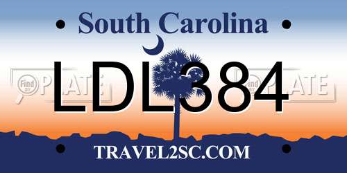 LDL384 South Carolina License Plate