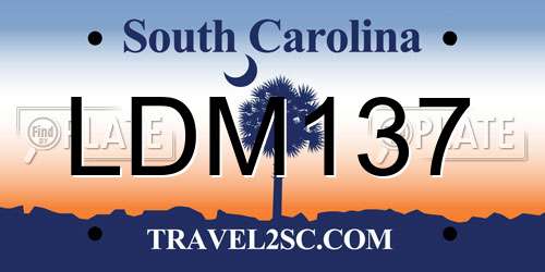 LDM137 South Carolina License Plate