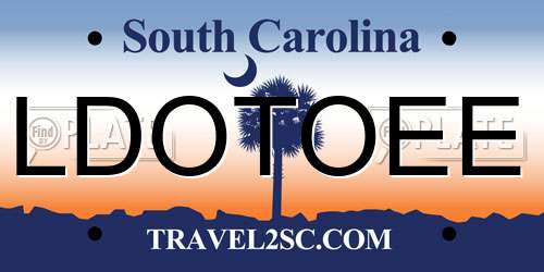 LDOTOEE South Carolina License Plate
