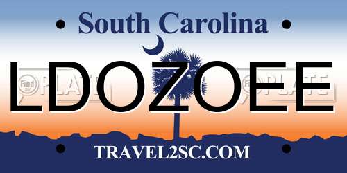LDOZOEE South Carolina License Plate