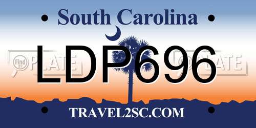 LDP696 South Carolina License Plate