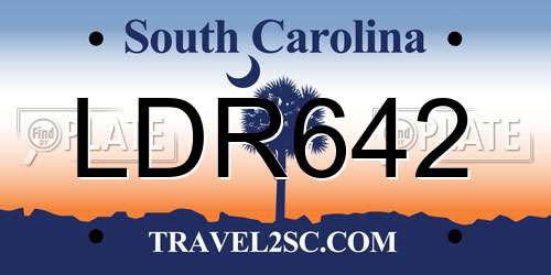 LDR642 South Carolina License Plate