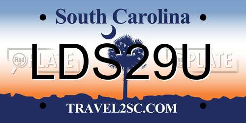 LDS29U South Carolina License Plate