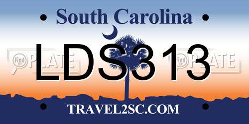 LDS313 South Carolina License Plate