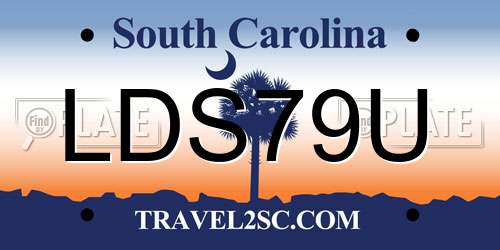 LDS79U South Carolina License Plate