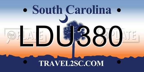 LDU380 South Carolina License Plate