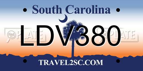 LDV380 South Carolina License Plate