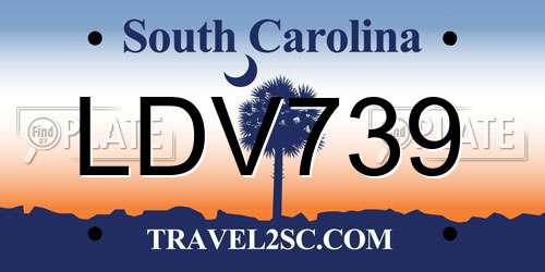 LDV739 South Carolina License Plate