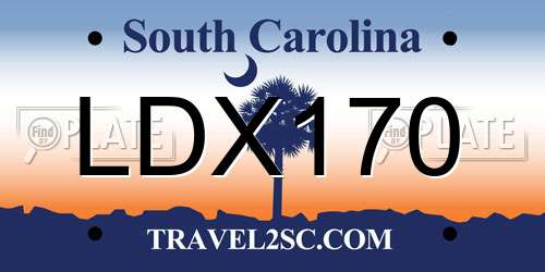 LDX170 South Carolina License Plate