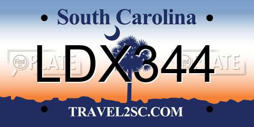 LDX344 South Carolina License Plate