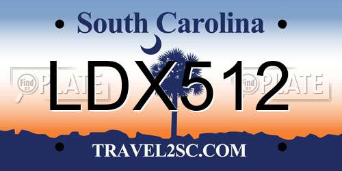 LDX512 South Carolina License Plate