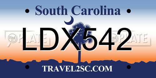 LDX542 South Carolina License Plate