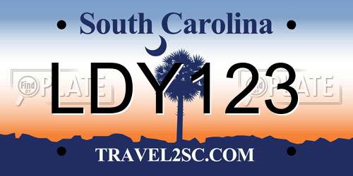 LDY123 South Carolina License Plate