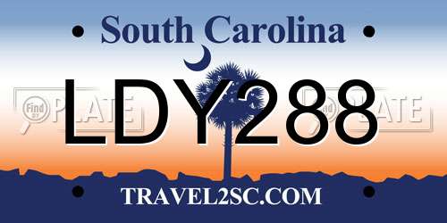 LDY288 South Carolina License Plate
