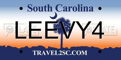 LEEVY4 South Carolina License Plate